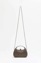 Load image into Gallery viewer, Handbag/ Clutch
